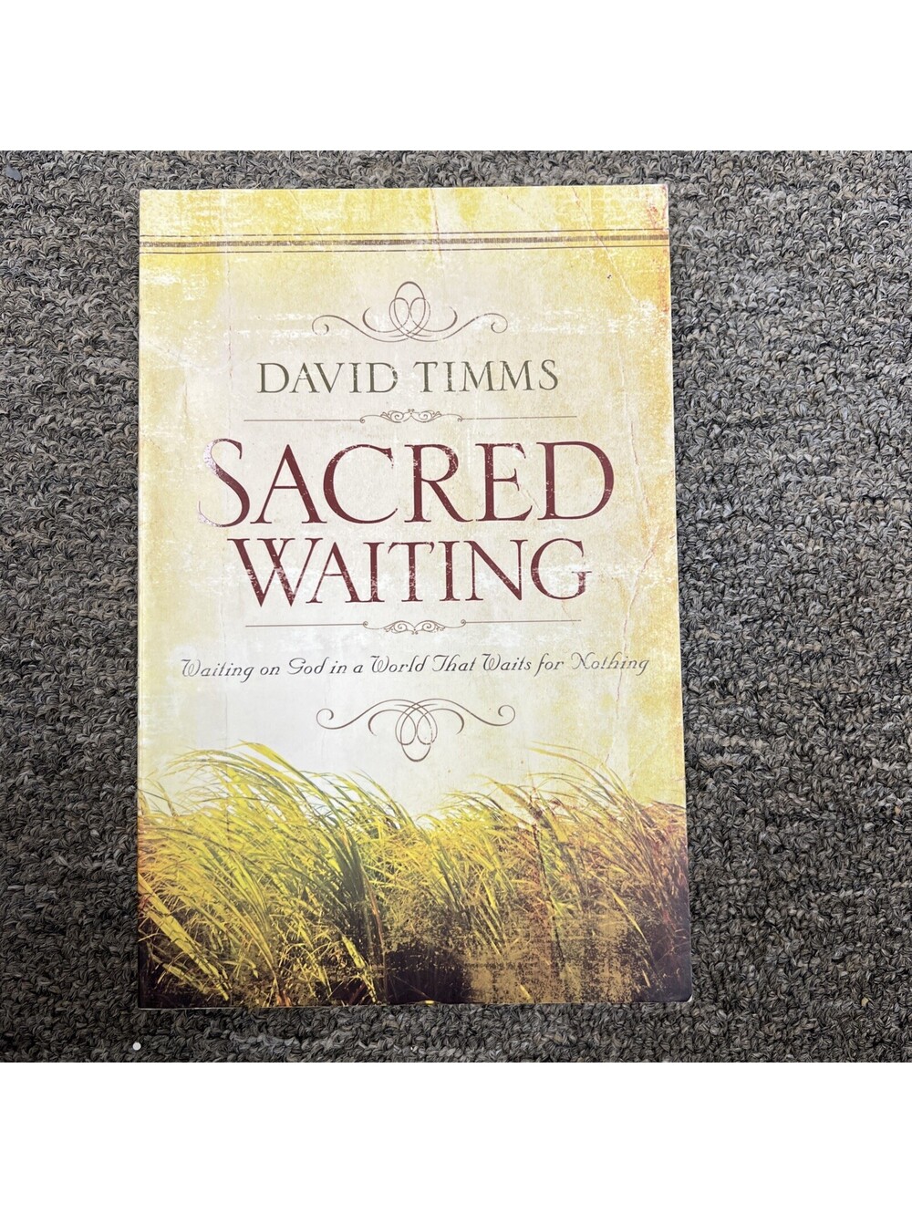 Sacred Waiting : Waiting on God in a World That Waits for Nothing by David Timms